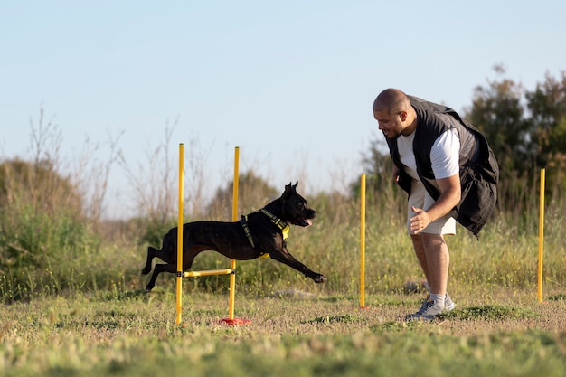 Unleash Your Dog's Potential: Advanced Training Techniques